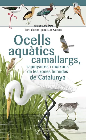 OCELLS AQUÀTICS CAMALLARGS, RAPINYAIRES I MOIXONS DE LES ZONES HUMIDES DE CATALU